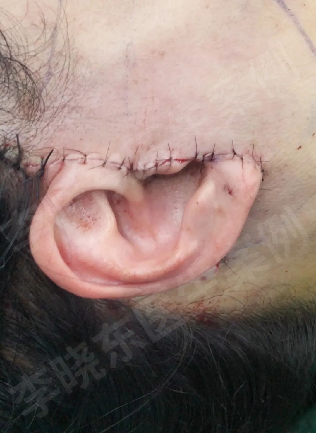 1741578559201866.jpg 微信图片_20250310114816.jpg